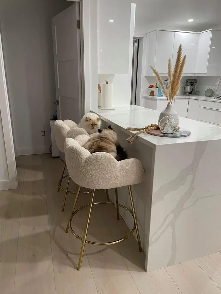 Sillas de barra Dior